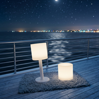 Lampe sur pied, lampe de table, énergie solaire, lumière blanc chaud, commande par interrupteur, design contemporain, matériau PVC, utilisation en jardin