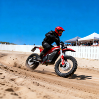 Vélo électrique Enduro DT Pro à couple élevé, adaptatif au terrain, 6000W, moto électrique avec batterie au lithium 72V60AH