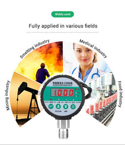 มาตรวัดความดันไดอะแฟรมสแตนเลสมาตรวัดความดันไดอะแฟรมแบบดิจิตอลความแม่นยำสูงสำหรับการอ่านโดยตรงแบบอุตสาหกรรม - Product Image 6