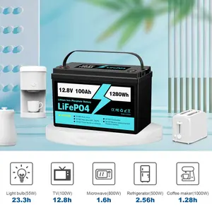 Lifepo4 Lithium-Ion Batterij Lood Zuur Vervanging Solar Rv Marine 12V 100ah 200ah 300ah