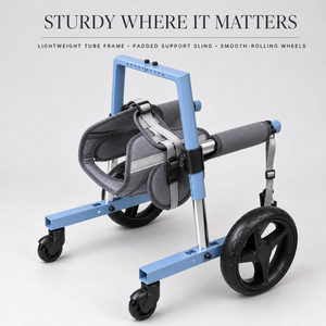 Fauteuil roulant pour chien en aluminium réglable avec sangle rembourrée pour le soutien et la rééducation des pattes arrière - Product Image 1
