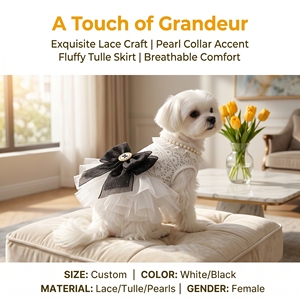 Robe pour animaux de compagnie toutes saisons en dentelle ajourée YF20260403-4, style princesse pour mariage, vêtements pour petits chiens et chats, vente en gros d'usine - Product Image 2