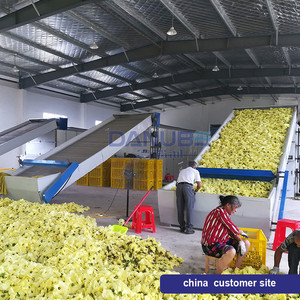 Secador de Alimentos Comercial para Cilantro, Espárragos, Guisantes Verdes, Apio y Otras Verduras - Product Image 2