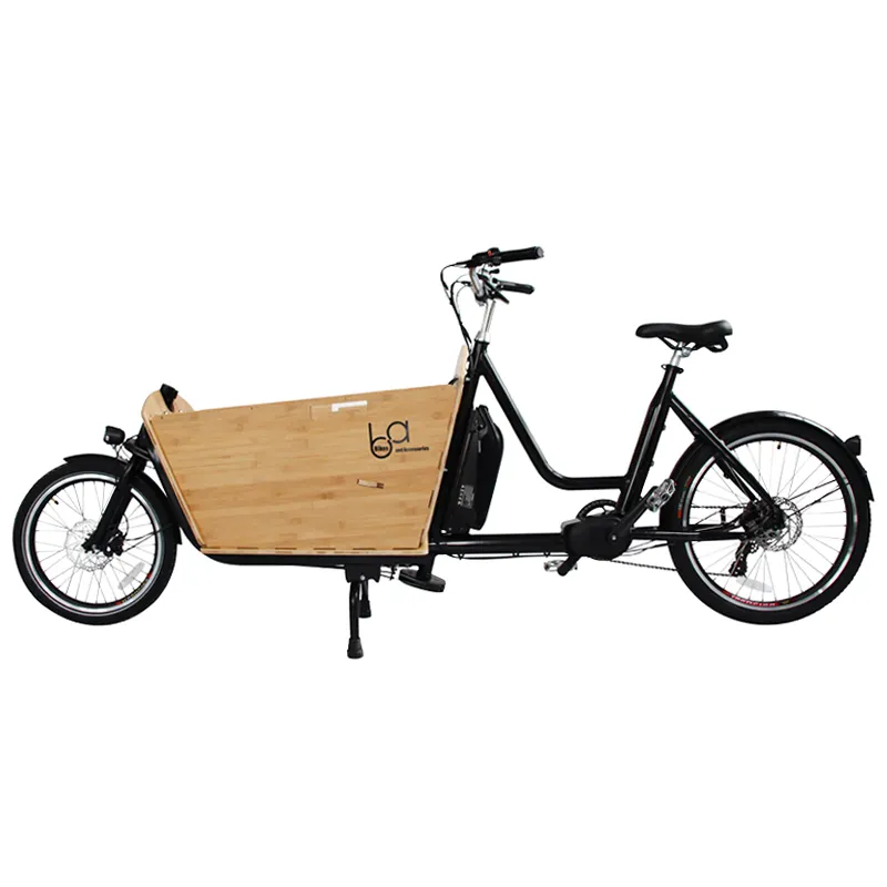 Long Distance 2 wheels Mid Drive Tricycle Scooter Motorcycle Electric Cargo Bike For Sale