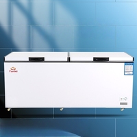 Meilleure vente Grand congélateur à onduleur de type coffre de 1000 litres pour la vente directe d'usine avec couleur personnalisable