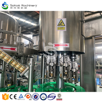 Op Maat Gemaakte Volautomatische Vers Fruit Verwerkingsproductielijn Sap Drank Glazen Fles Vulmachine
