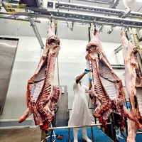 Mini Abattoir Équipement d'Abattoir pour Bovins Machine d'Abattage pour Vache Équipement d'Abattage pour Boucher