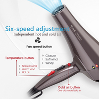 Sèche-Cheveux Professionnel MAC pour Grossistes 5000 W à Ions Négatifs, Moteur AC Puissant pour Séchage Rapide en Salon