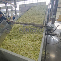 El mejor deshidratador automático de alimentos, hojas de Moringa, col rizada, secador de repollo, limpieza y secado de verduras, equipo de línea de producción