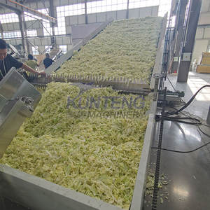 מזון אוטומטי הטוב ביותר dhydrator עלים kale כרוב מייבש ירקות יבש ניקוי יבש וניקוי יבש - Product Image 3