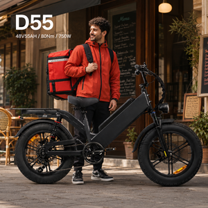 Vélo électrique D55 48V 55Ah avec grande batterie, autonomie de 240 km, moteur 750W, pneus larges de 20 pouces, vélo électrique étanche, livraison fiable - Product Image 1
