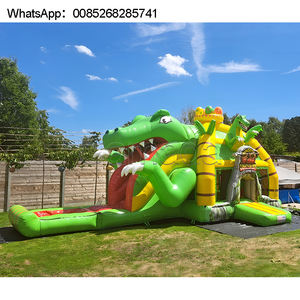 Castillo Inflable Húmedo/Seco Zhengzhou con Tobogán, Brincolín y Piscina Gigante - Product Image 2