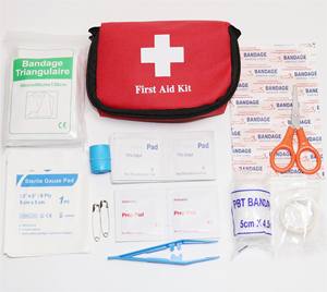 Fireste vendedor médico aprovado ce, tamanho pequeno, bolso promocional, mini casa, kit de primeiros socorros, bolso para presente - Product Image 2