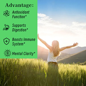 Factory Direct Antioxidant Moringa Gummies for Digestion Immune Support and Mental Clarity All Natural <b>Supplement</b> Antioxidant H - Product Image 5