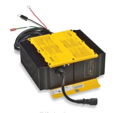 Delta Q 912-4800-D1 On-Board Golf Cart Battery Charger with LED Light 48V18A for Golf Carts