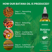 Vente chaude huile de Batana africaine pour la croissance des cheveux réparation dommages cheveux Batana huile Nutrafol femmes équilibre suppléments de croissance des cheveux