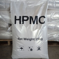 Selulosa Eter HPMC HPMC Metil Selulosa Tylose 200000 Viskositas Bubuk Putih Aditif Kemurnian 99% 25kg/karung Tahan Air