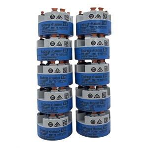 Endress Hauser TMT71-16P1/187 Temperature Module OEM/ODM Customizable Popular Original Product TMT71 Temperature Control Module - Product Image 4