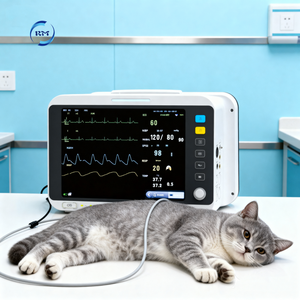 Rayman <span class=keywords><strong>Monitor</strong></span> pasien anjing portabel Multi-Parameter harga rendah untuk pengoperasian hewan peliharaan dan klinik hewan - Product Image 1