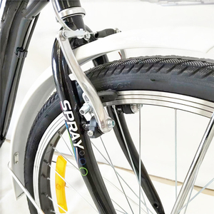 Tricycle de plage pour adulte, croiseur de cargaison deuxième <span class=keywords><strong>main</strong></span>, à vendre, - Product Image 5