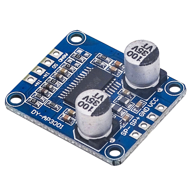 High Power Digital Amplifier Module Mono Class D 4-8ohm DC 12V 24V 8V-24V For 10W 20W 30W-300W Speaker DY-AP3001