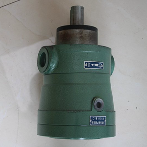 Bomba de aceite de alta presión serie MCY-2.5 MCY-16 SCY-32 SCY-63 YCY-80 YCY-100, pistón hidráulico 25YCY14-1B 2.5 MCY14-1B - Product Image 5