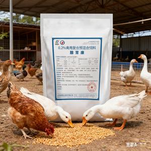 ขายตรงจากโรงงาน ผลิตภัณฑ์เสริมอาหารสัตว์ปีกเพื่อสุขภาพกระเพาะอาหารในไก่และเป็ด - Product Image 1