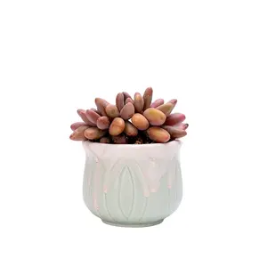 3A36-Permeable glazed succulent small pot Kiln changes color succulent ceramic pot