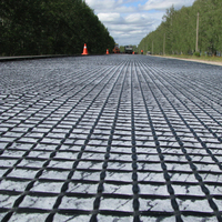 Géogrille en polyester tricotée biaxiale 100-30kn pour la construction routière