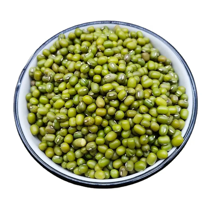 고품질 Frijoles 강력한 녹두/Frijol Mungo Verde/녹색 그램 씨앗 vigna 콩