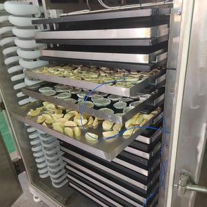 Automatic 200kg Freeze Dryer with Oil Free Vacuum Pump Contamination Free - Product Image 6