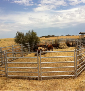 Penjualan laris ternak tugas berat pagar Corral dan panel pena bulat kuda - Product Image 5