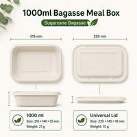 Contenant alimentaire jetable en fibre végétale biodégradable 750ml/1000ml, vente en gros pour riz, pâtes, salades et plats à emporter en restaurant