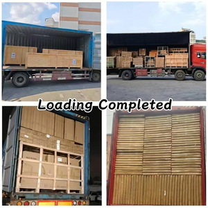 FCL/LCL + Transporte Terrestre, Agente Local en China, Despacho de Aduanas Prioritario, Destinos Globales a través de DPS, Seguro del Transportista Incluido, 15-45 Días - Product Image 5