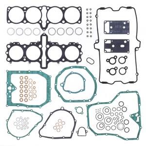 Kit completo de juntas (sellos de aceite no incluidos) - Product Image 1