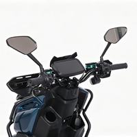 Commercial & Urban Commuting Adult Electric Motorcycle, Factory Direct Wholesale, Long Range with Maximum Speed up to 100km/h