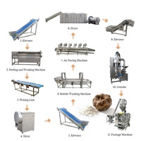 Fabrieksleverancier van machines voor de productie van konjacpoeder, konjacchips, machines voor de verwerking van konjacpoeder en lijnen voor het malen van konjacmeel