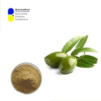 Poudre d'extrait de feuille d'olivier naturel 12% Supplément de soutien antioxydant et immunitaire de l'oleuropéine | Fournisseur en vrac