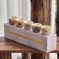 Ensemble de tasses et mugs en céramique vintage de haute qualité, coffret cadeau souvenir - Utilisation domestique, cadeau de pendaison de crémaillère et de mariage, fabriqué en Chine