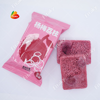 Cubes de thé instantanés lyophilisés Boissons Thé mélangé Boissons lyophilisées Cubes de pulpes instantanées lyophilisées