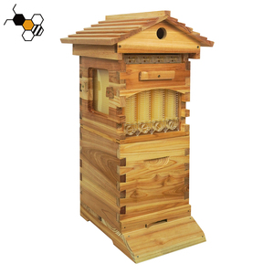 Cung điện vàng chảy <span class=keywords><strong>Hive</strong></span> 4pcs chảy khung với 4pcs tự động chảy ống và 1pcs chính cấp thực phẩm - Product Image 5