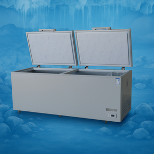 Congelador Horizontal Comercial para Supermercado, Refrigerador con Puerta Superior Abatible, Cámara Frigorífica en Venta, Congelador Horizontal de 500l - Product Image 5