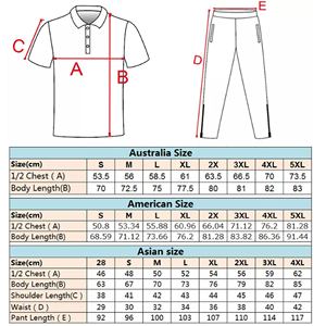 طقم زي رياضي خفيف الوزن ومقاوم للتجاعيد وقابل للتمدد في أربعة اتجاهات، بتصميم عصري ومقاسات كبيرة، مع إمكانية تخصيص اسم الفريق لملابس الكريكيت - Product Image 5