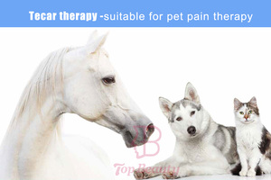 Tecartherapy penggunaan hewan anjing kucing kuda pereda nyeri gelombang pendek Diathermy mesin pemulihan fisioterapi hewan peliharaan - Product Image 6