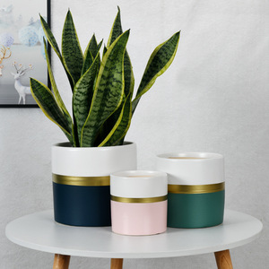 Maceta Cilíndrica para el Hogar, Estilo Nórdico Extra Grande, Estilo Étnico Moderno, para Interiores, para Phalaenopsis, <span class=keywords><strong>Epipremnum</strong></span> <span class=keywords><strong>Aureum</strong></span>, Orquídeas - Product Image 2