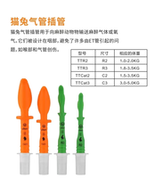 Canule de trachée pour animaux de compagnie vétérinaire pour clinique ou hôpital avec différentes tailles et instrument d'intubation trachéale aveugle coloré