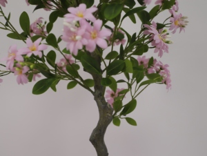 Vigne de <span class=keywords><strong>jasmin</strong></span> artificielle rouge en plastique en gros, <span class=keywords><strong>jasmin</strong></span> confédéré artificiel pour décoration murale, plafond et mariage - Product Image 4