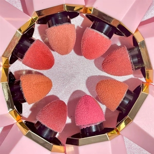 Nuevo Rubor Vegano de Larga Duración con Punta de Esponja Suave y Pigmentada para Maquillaje Facial, Tinte Mate para Mejillas, Rubor Dewy, Marca Privada - Product Image 1