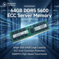 Mémoire DDR5 64 Go 5600 MT/s PC5 44800 ECC RDIMM 2Rx4 pour serveur IA PowerEdge ProLiant Enterprise