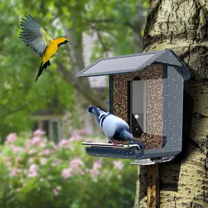 Outdoor Smart Vogelhuisje Met 1080P Camera Vogel Feeder Kijken Camera Auto Capture Vogel Video 'S Foto 'S Ai Identificeren Birdcam